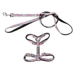FuzzYard Meowcarons Cat Harness And Lead Walking Set