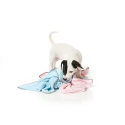 FuzzYard Microfibre Puppy Drying Towel Blue With Grey Trim 11 FuzzYard Microfibre Puppy Drying Towel Blue With Grey Trim -Fuzzyard FuzzYard Microfibre Puppy Drying Towel Blue with Grey Trim 4