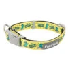 FuzzYard Sk8ter Gator Dog Collar Medium -Fuzzyard FuzzYard Sk8ter Gator Dog Collar Medium