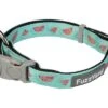 FUZZYARD SUMMER PUNCH COLLAR MEDIUM -Fuzzyard large 134396 FY SUMMER PUNCH COLLAR MED