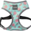 FUZZYARD SUMMER PUNCH HARNESS SMALL -Fuzzyard large 138466 FY SUMMER PUNCH HARNESS SML