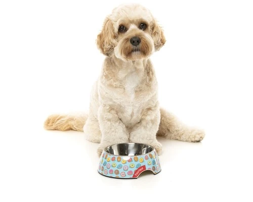 FUZZYARD BOWL YOU DRIVE ME GLAZY MEDIUM 4 FUZZYARD BOWL YOU DRIVE ME GLAZY MEDIUM - Image 2