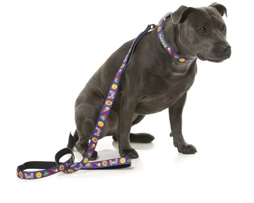 FUZZYARD LEAD HIGHSCORE SMALL 4 FUZZYARD LEAD HIGHSCORE SMALL - Image 2