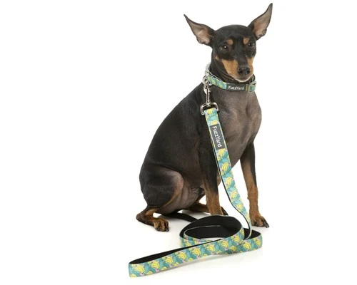 FUZZYARD LEAD BANANARAMA SMALL 4 FUZZYARD LEAD BANANARAMA SMALL - Image 2