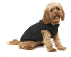 FUZZYARD EAST MACGYVER JACKET BLACK SIZE 1 -Fuzzyard largetwo 100000135626 FY EAST MACGYVER JKT BLACK 1