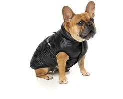 FUZZYARD SOUTH HARLEM JACKET BLACK SIZE 2 -Fuzzyard largetwo 100000135683 FY SOUTH HARLEM JKT BLACK 2