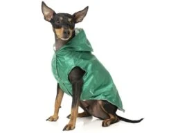 FUZZYARD FLIPSIDE RAINCOAT GREEN/BEIGE SIZE 7 -Fuzzyard largetwo 100000135716 FY FLIPSIDE COAT GRN BGE 7