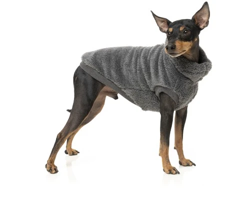 FUZZYARD TURTLE TEDDY SWEATER CHARCOAL SIZE 7 5 FUZZYARD TURTLE TEDDY SWEATER CHARCOAL SIZE 7 - Image 3