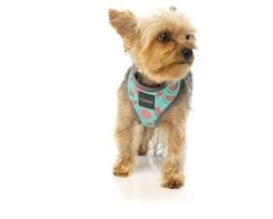 FUZZYARD SUMMER PUNCH HARNESS EXTRA SMALL -Fuzzyard largetwo 138465 FY SUMMER PUNCH HARNESS XSML